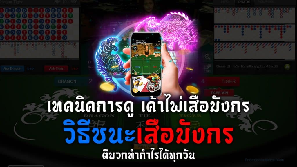 แนะนำสูตรการดูเค้าไพ่ เสือมังกรออนไลน์